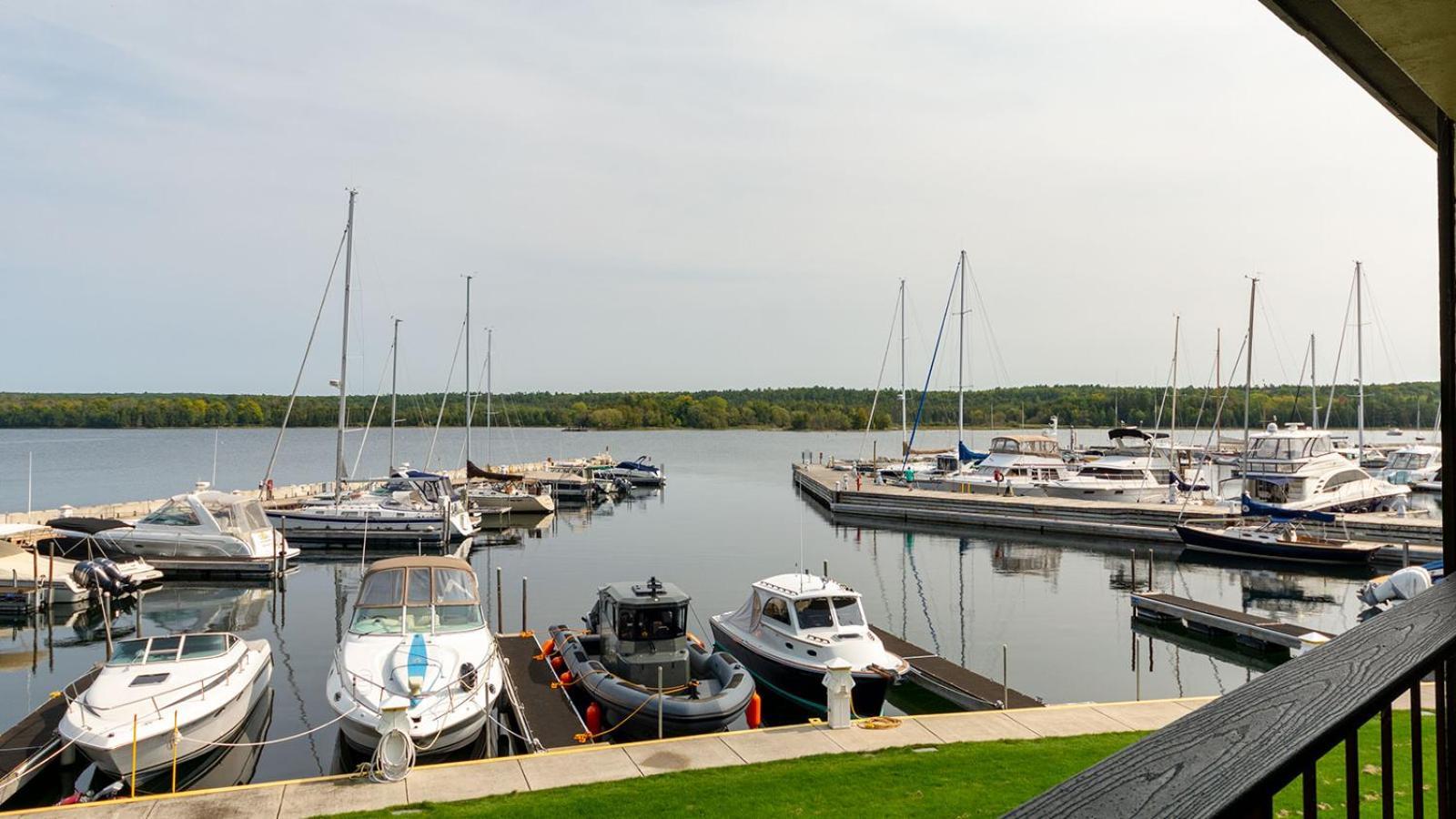 Harbor *