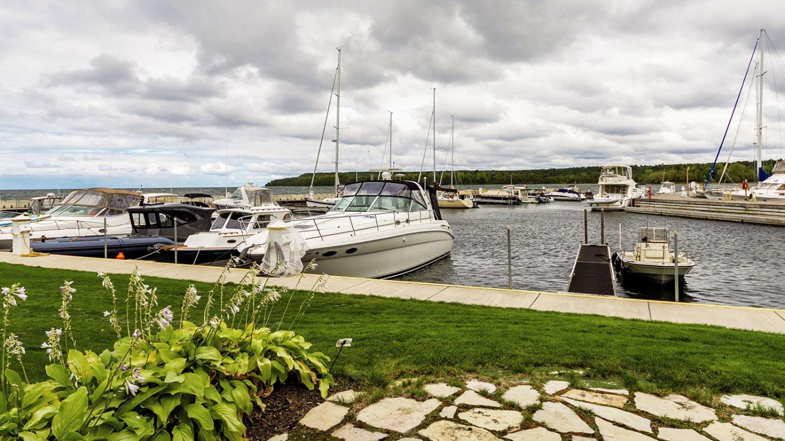 Harbor